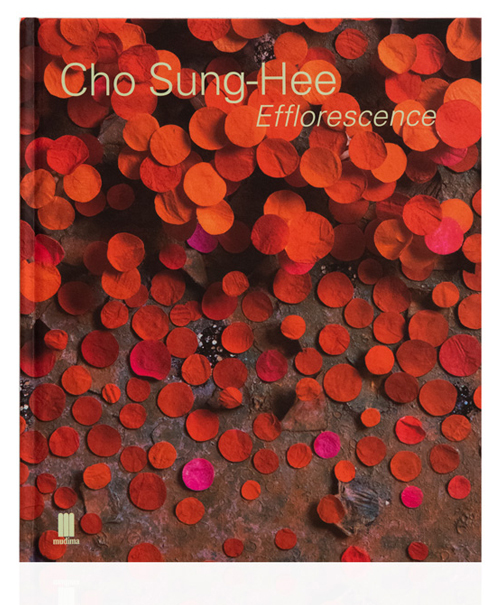Acquista il volume di Cho Sung-Hee – Efflorescence